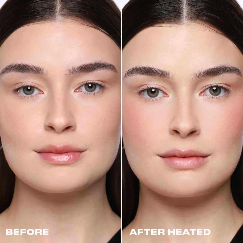 Powder Blush Insert