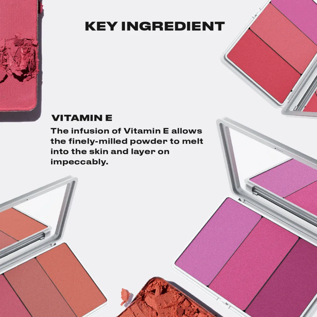 Powder Blush Insert