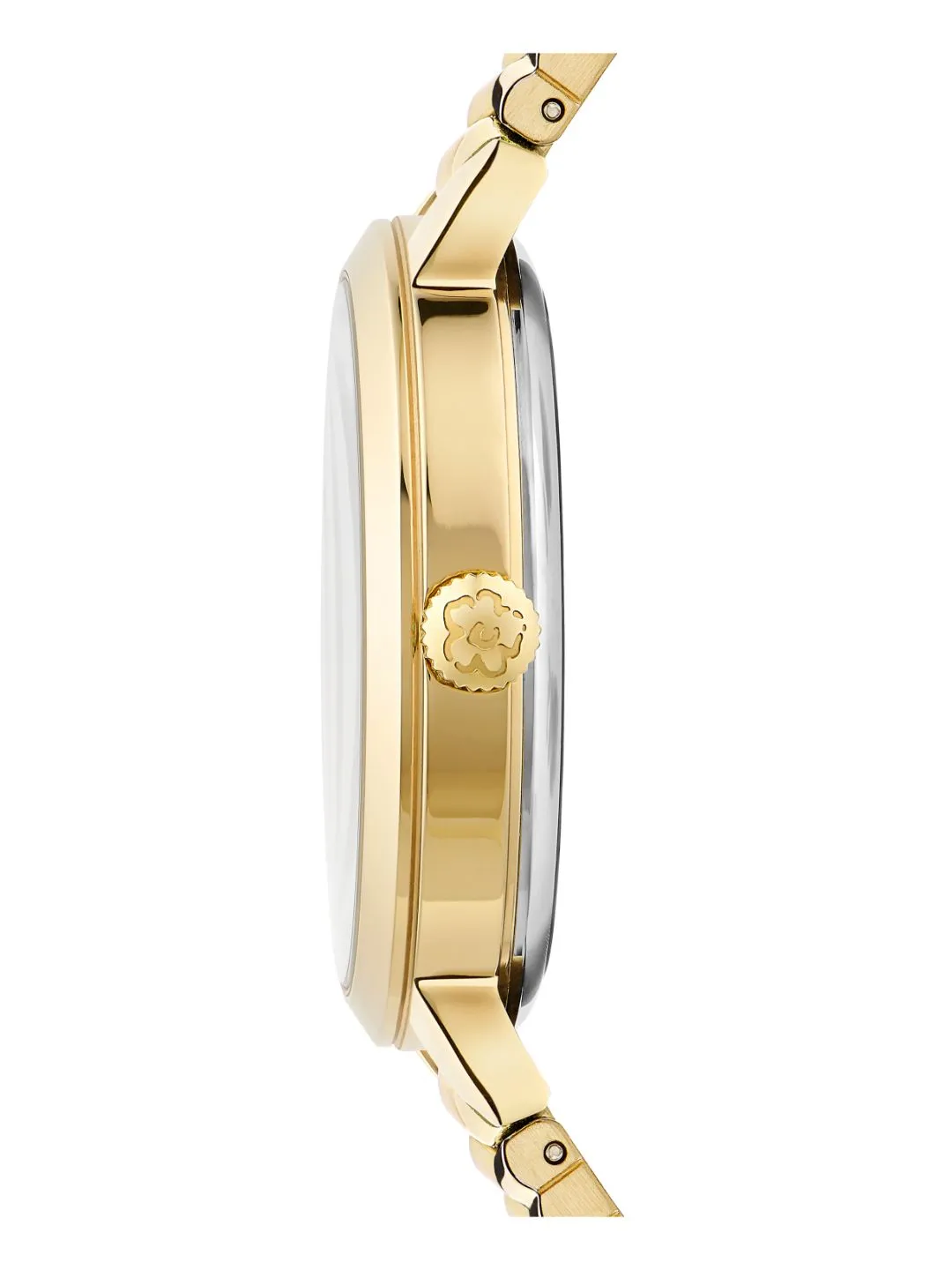 Ted Baker Black Dial Women Watch - BKPLIF203