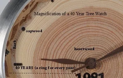 Tree Ring - 40 Years
