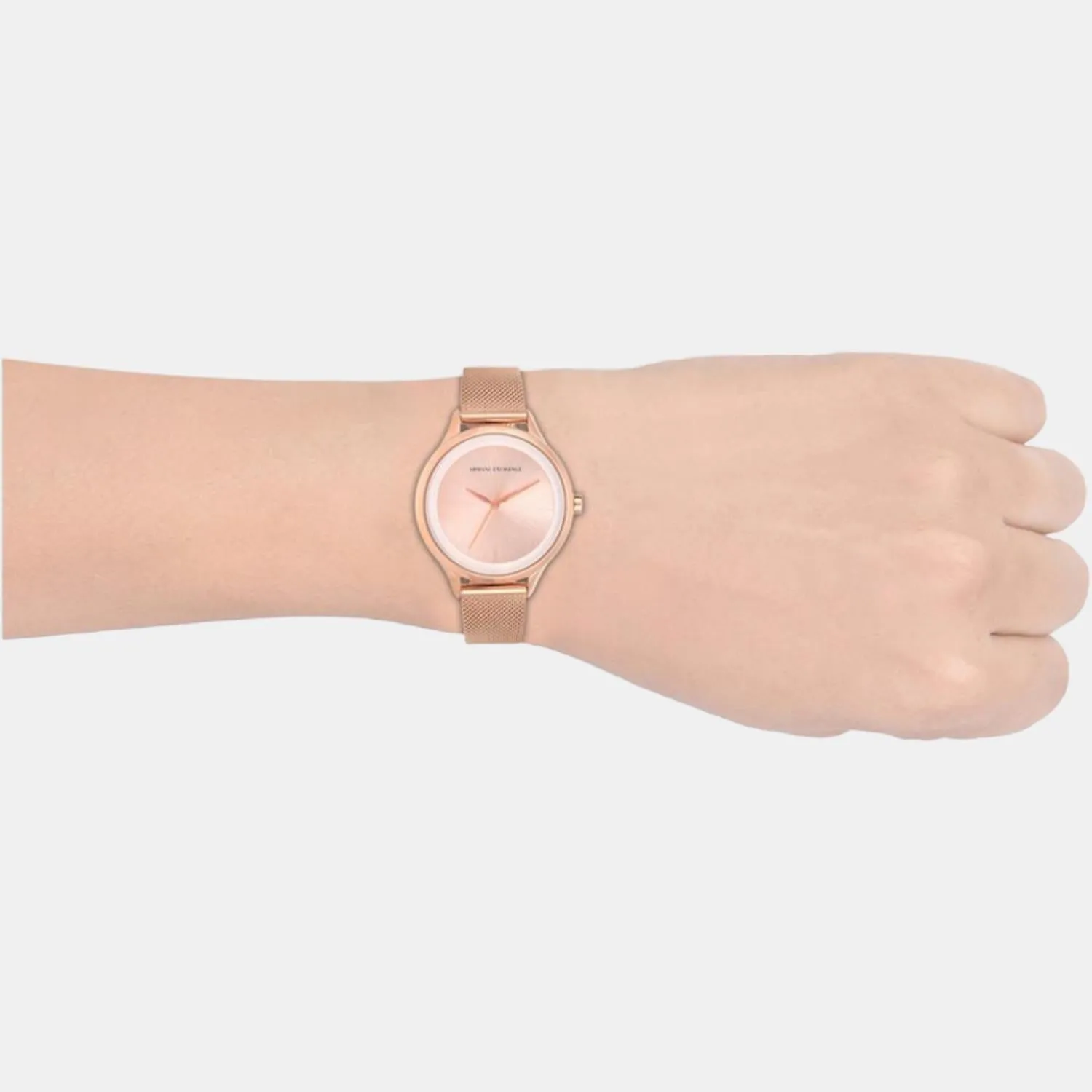 Women's Rose Gold Analog Stainless Steel Watch AX5602